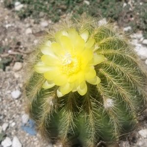 Meet your Posher, Ritchie